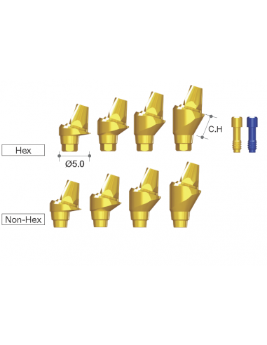 Multi Unit Abutment Angled 17 Anyridge