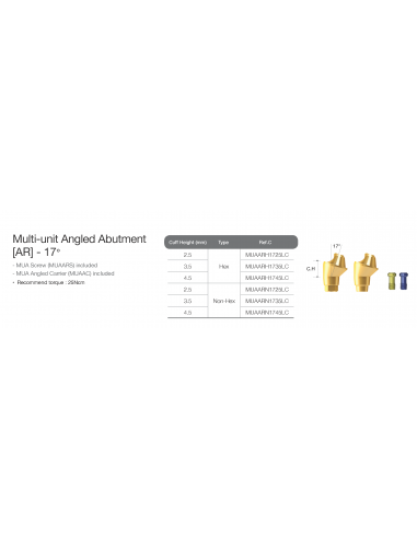 Multi Unit Abutment Angled 17 Anyridge