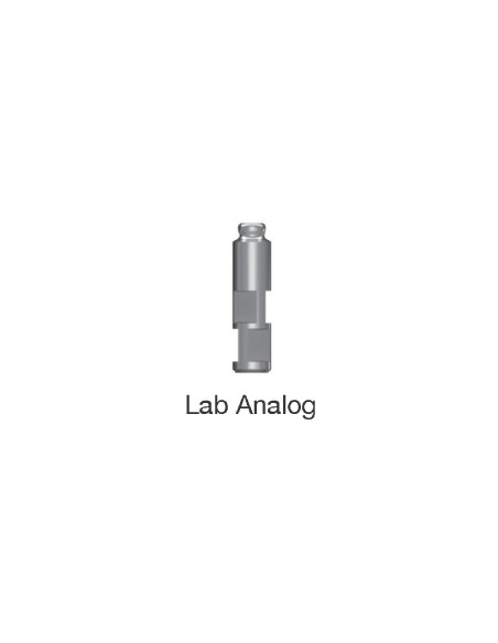 Meg-Rhein Lab Analog