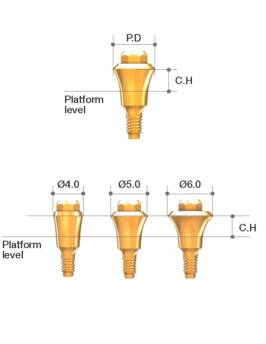 Octa Abutment
