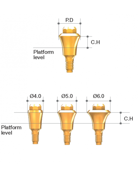 Octa Abutment