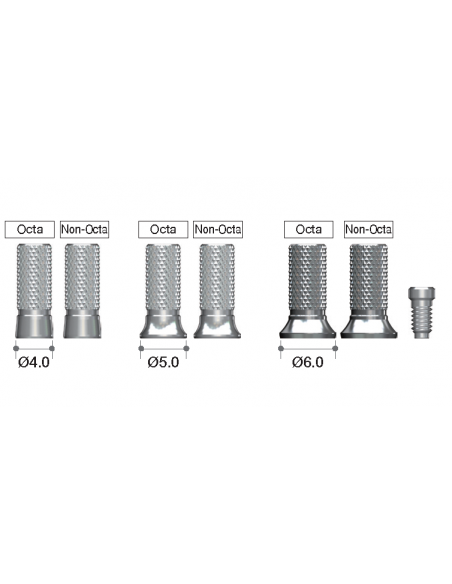 Temporary Cylinder Octa Abutment